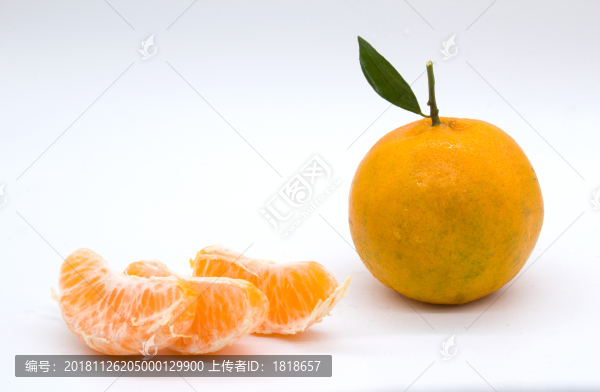 椪柑