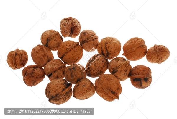 野生薄皮核桃