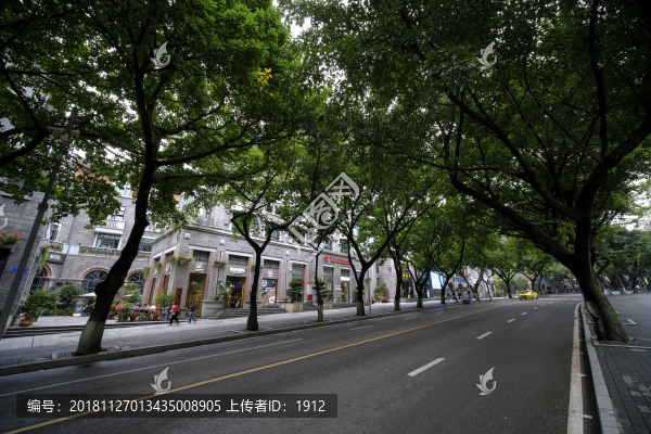 林蔭道