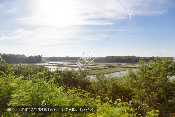 海南鄉(xiāng)村田園