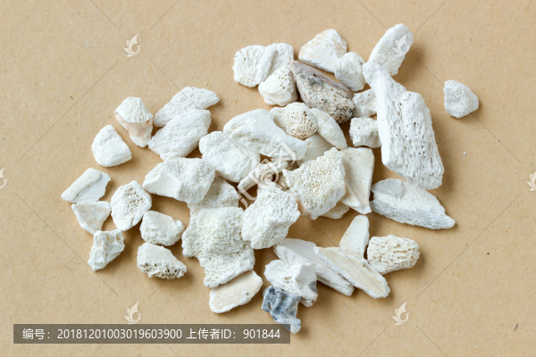 中藥材龍骨