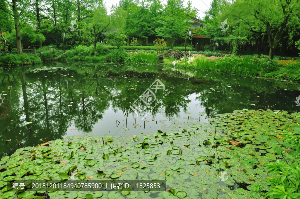 西湖