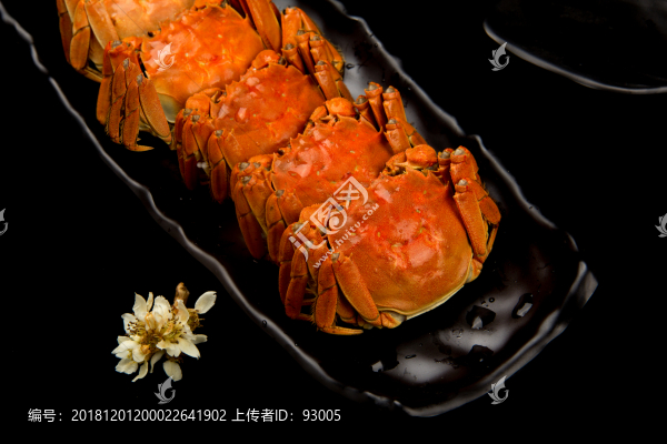 螃蟹清蒸大閘蟹陽澄湖大閘蟹