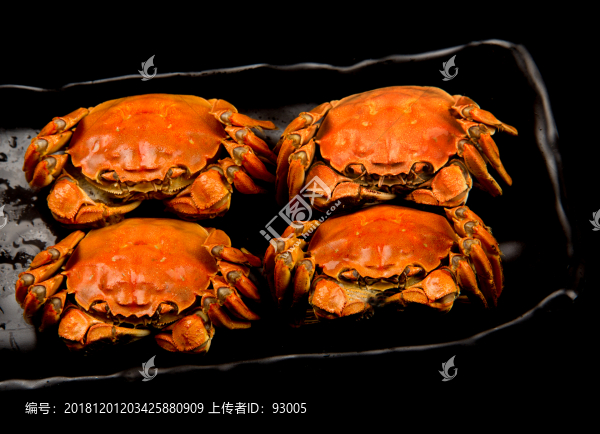 螃蟹清蒸大閘蟹陽澄湖大閘蟹