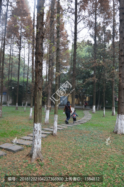 公園石板路豎幅