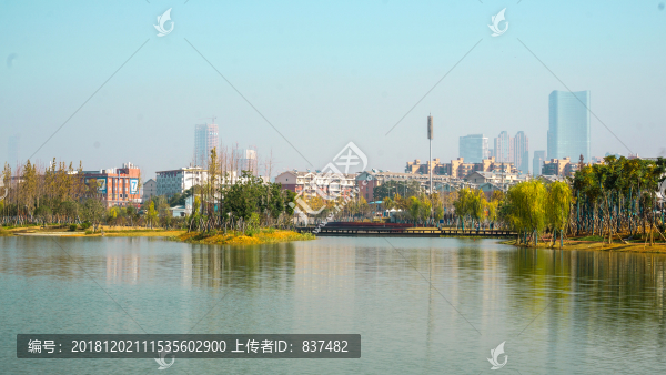 后湖公園風景
