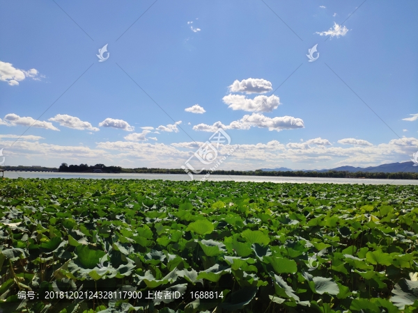 北京頤和園后湖