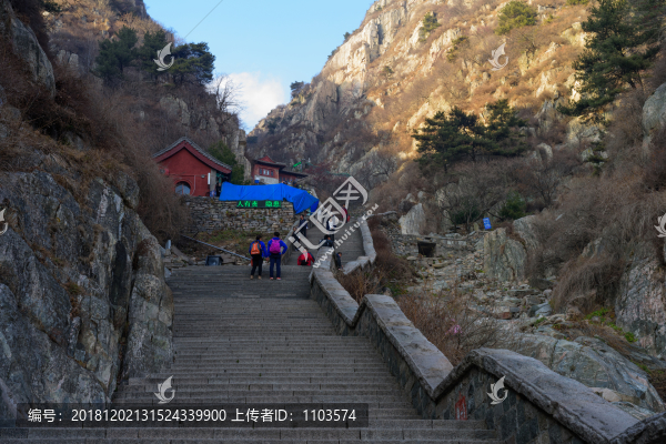 泰山