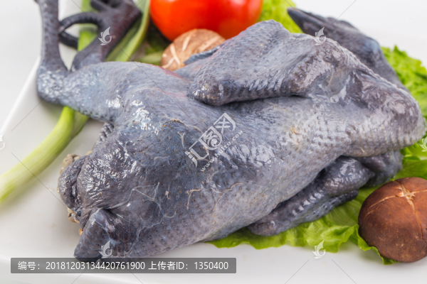 烏雞肉