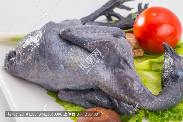 烏雞肉