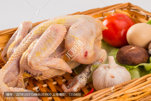 新鮮雞肉