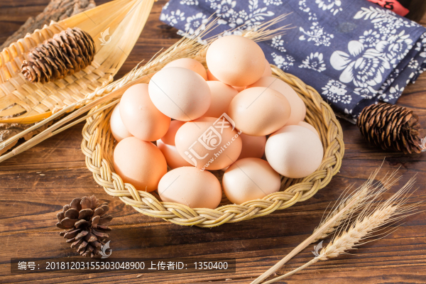 鮮雞蛋