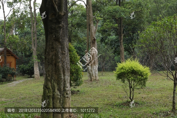 公園