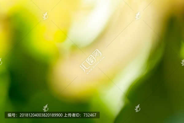 花卉抽象背景素材