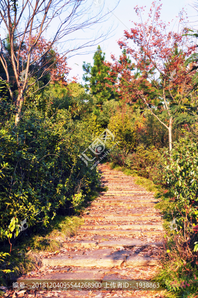 山路