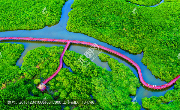 濕地公園