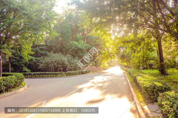 黃昏下的公園美景