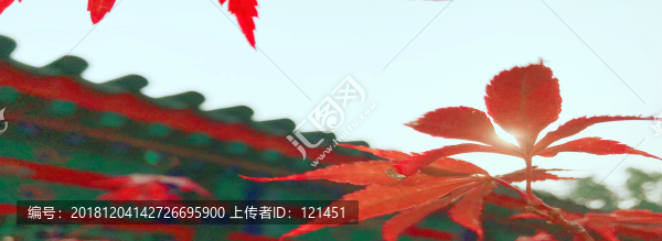風光圖片