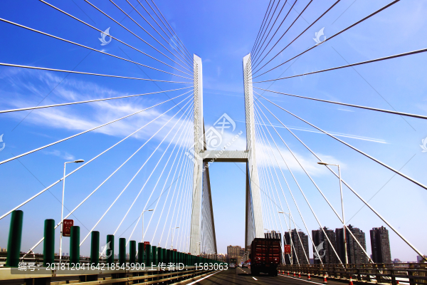斜拉索大橋