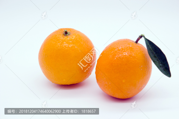 臍橙