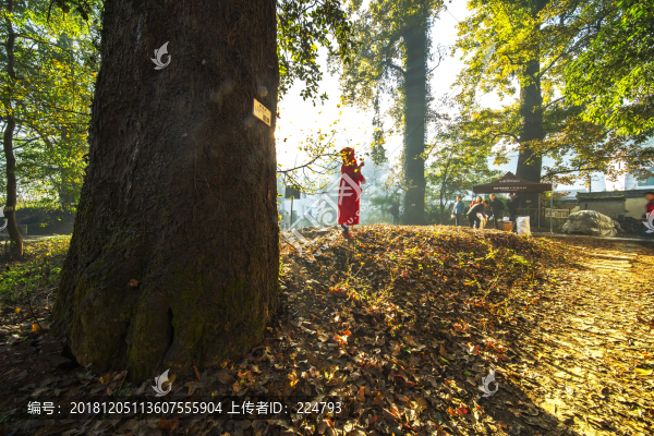 多彩秋景