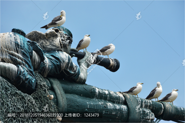 海鷗