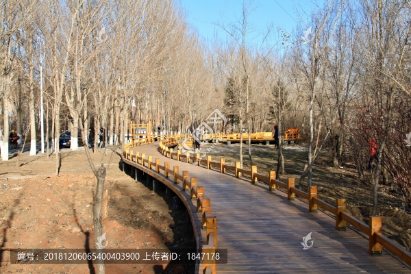 木棧道