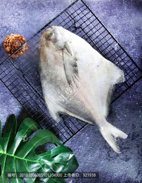 鯧魚(yú)