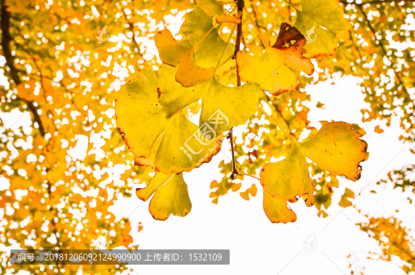桂林陽朔