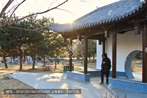 夕陽下