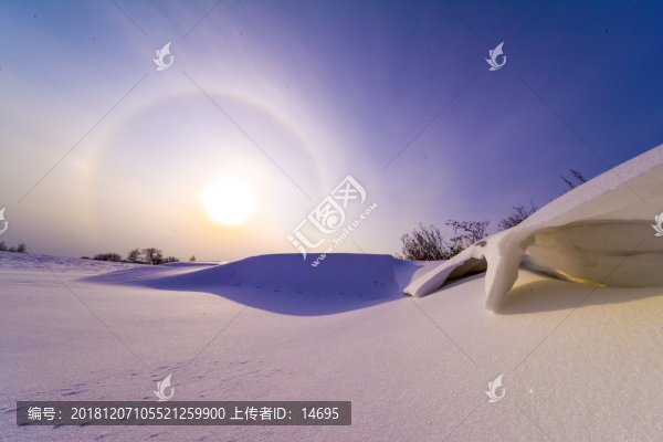 雪之韻