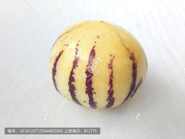 特寫長壽果