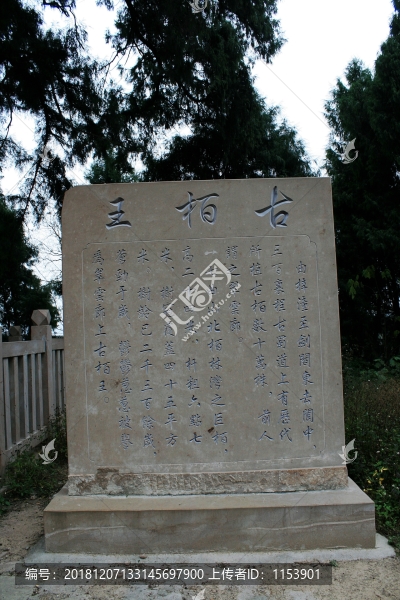 古柏王
