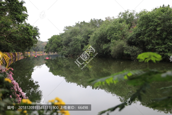 深圳東湖風光