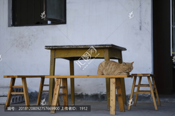 走馬古鎮(zhèn)