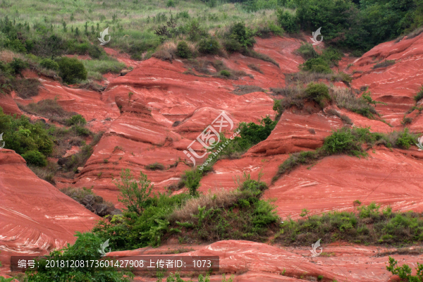 大橫山紅土坡玫瑰谷