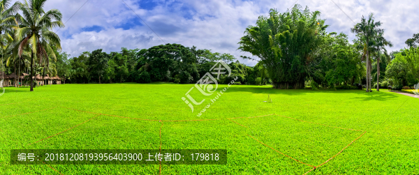 勐侖植物園大草坪