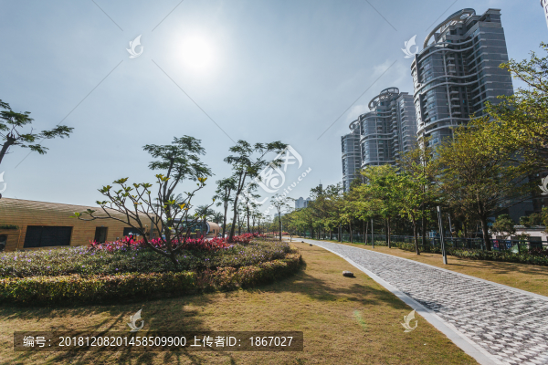 海濱公園6276