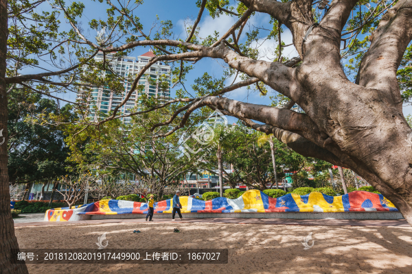 海濱公園6284