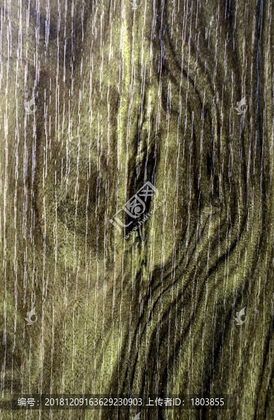 木紋