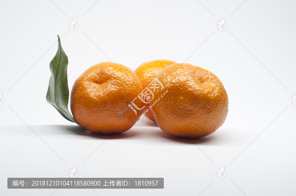 柑橘