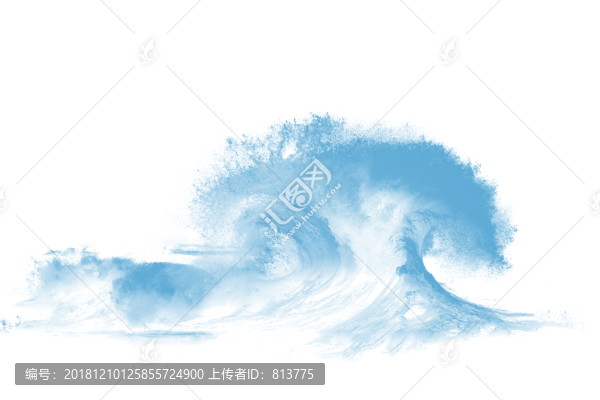 海紋理