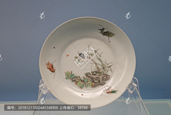 景德鎮(zhèn)窯五彩草蟲(chóng)圖盤