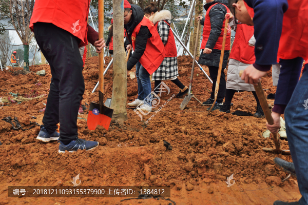 植樹現(xiàn)場