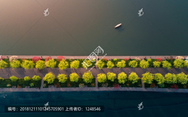 白堤春曉