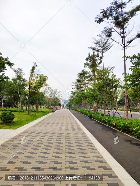 城市綠道