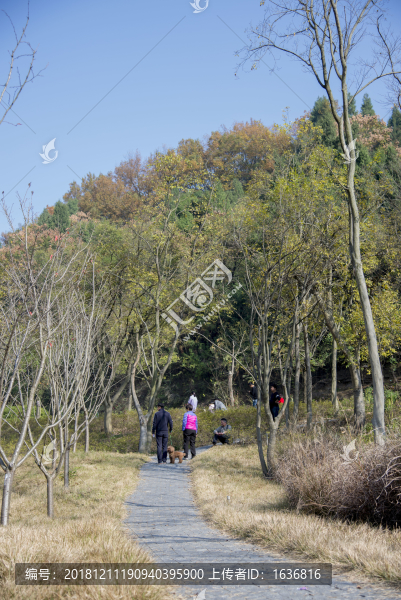 公園路