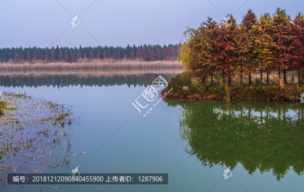 陸角嘴濕地