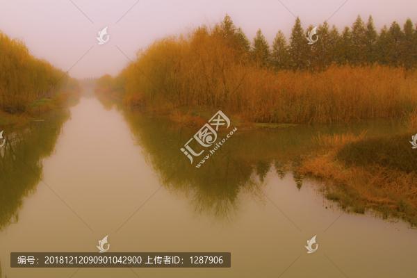 陸角嘴濕地