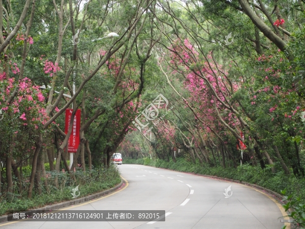 深圳華僑城